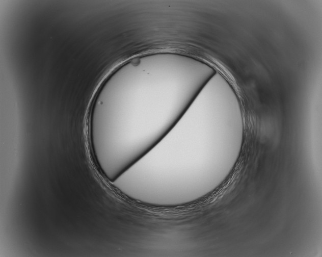 X0000098160907200804171215