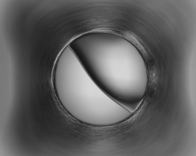 X0000098160908200804171215