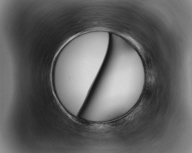 X0000098160910200804171215