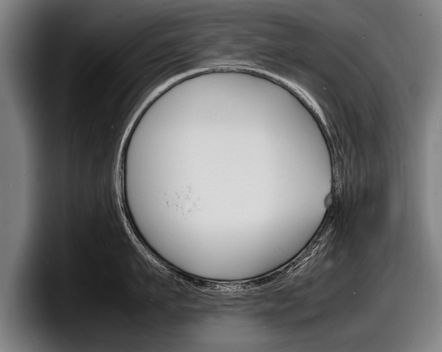X0000098160911200804171215