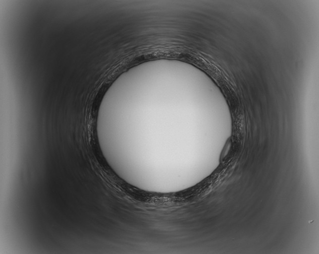 X0000098160914200804171214