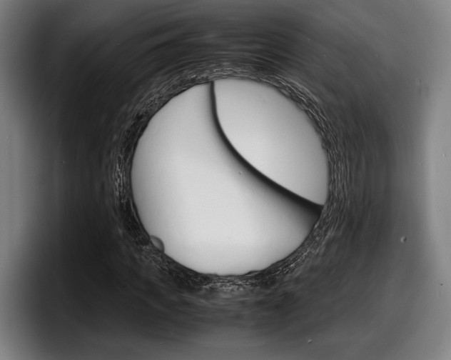 X0000098160917200804171214
