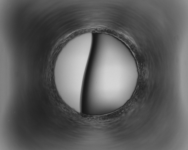 X0000098160920200804171214