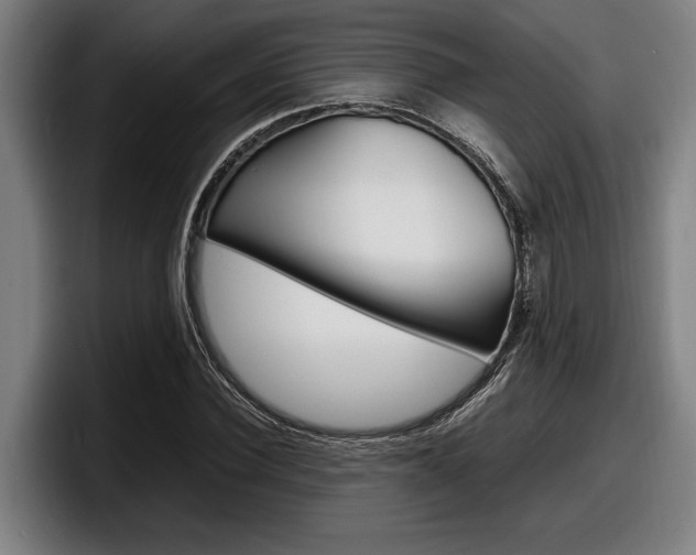 X0000098160924200804171214