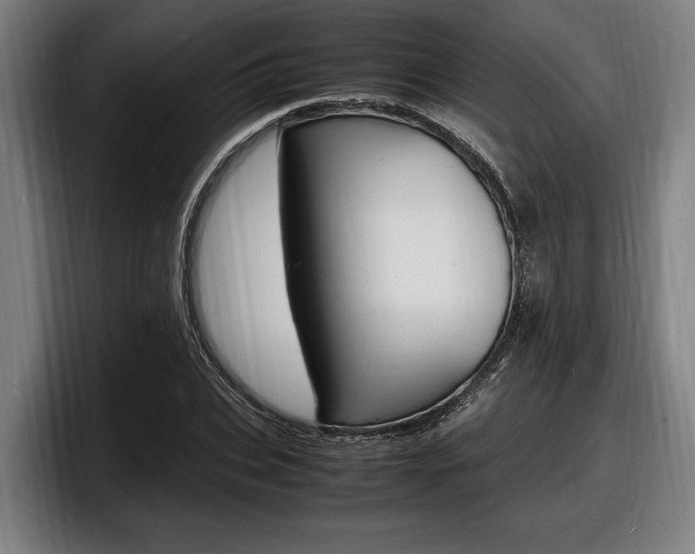 X0000098160927200804171214