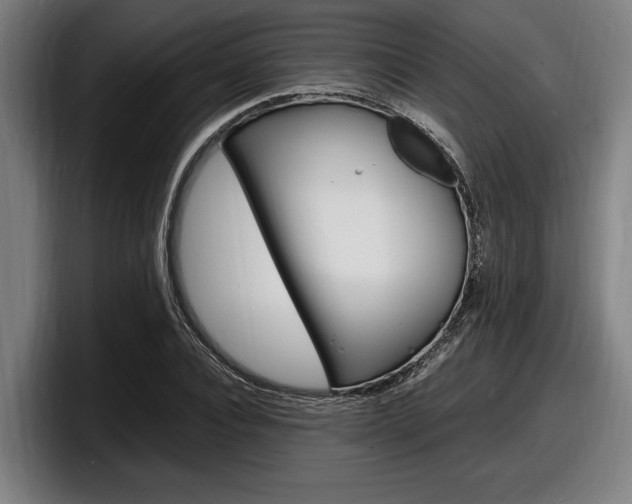X0000098160928200804171214