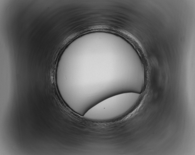 X0000098160929200804171214