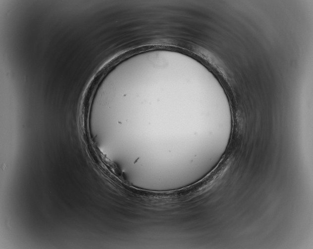 X0000098160931200804171214