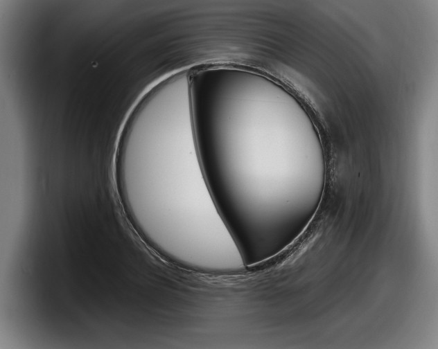 X0000098160932200804171214
