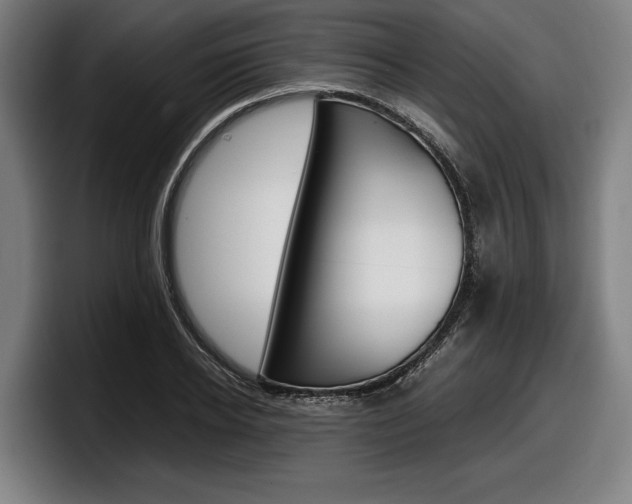 X0000098160934200804171214