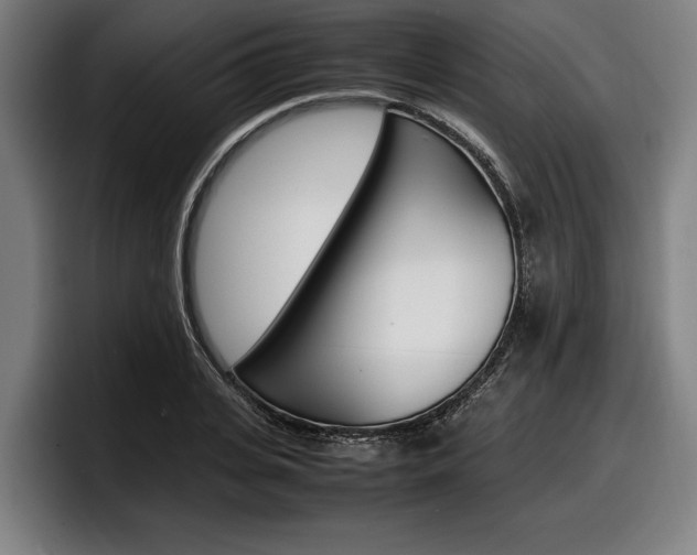X0000098160935200804171214