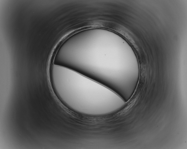 X0000098160939200804171215