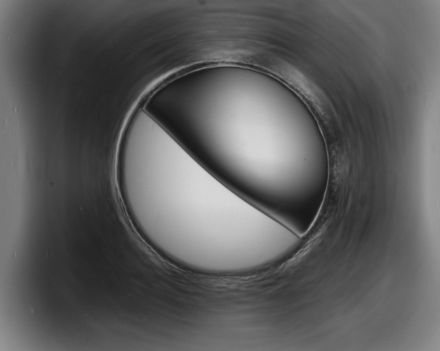 X0000098160940200804171215