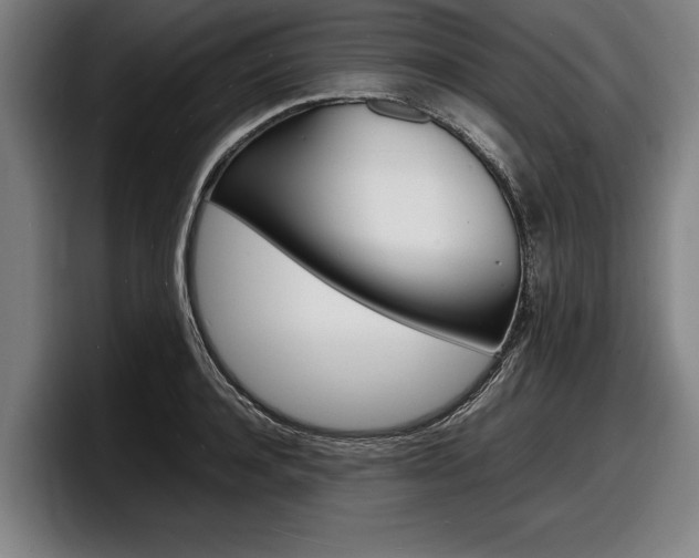 X0000098160944200804171215