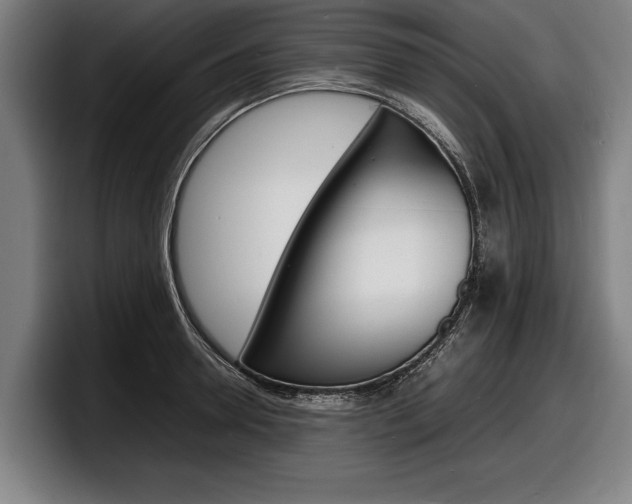X0000098160946200804171215