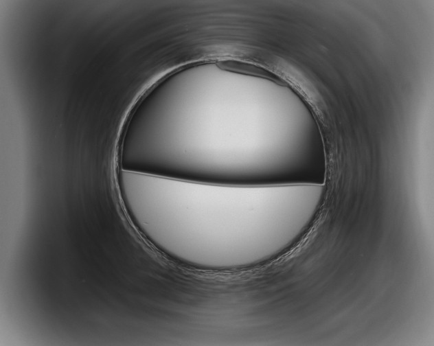 X0000098160948200804171215