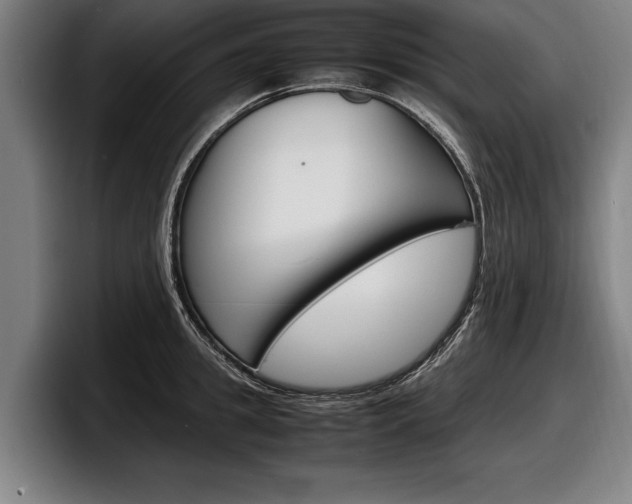 X0000098160949200804171215
