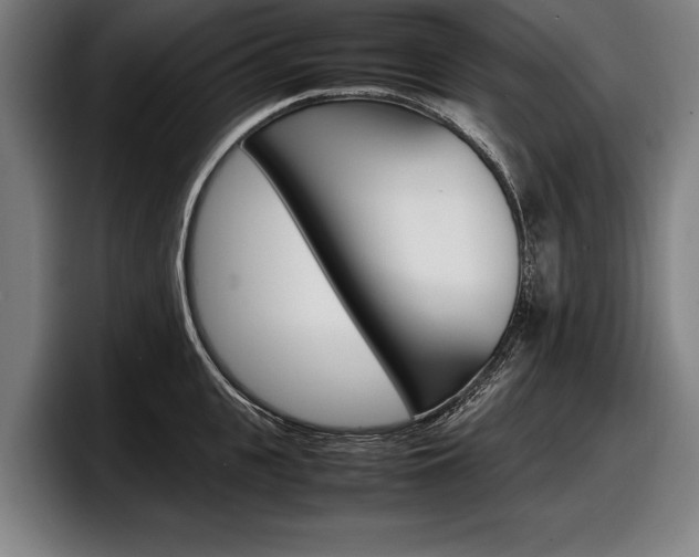 X0000098160951200804171215