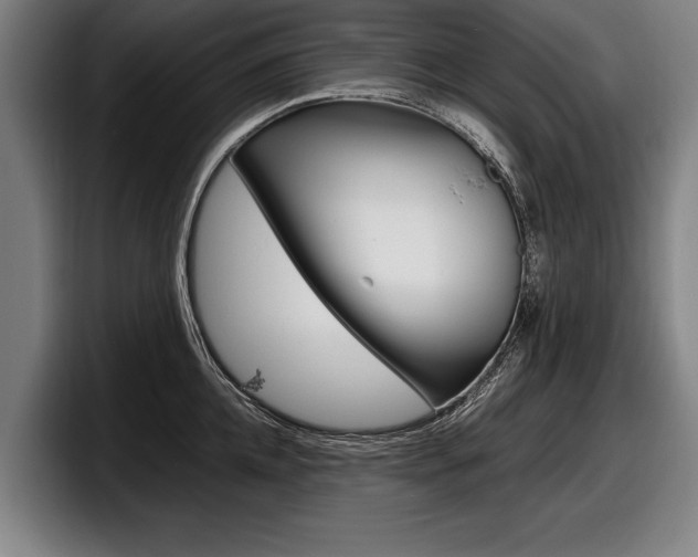 X0000098160952200804171215