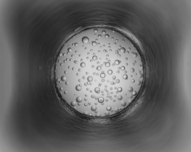 X0000098160953200804171215