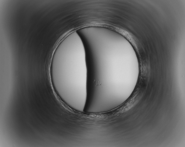 X0000098160954200804171215