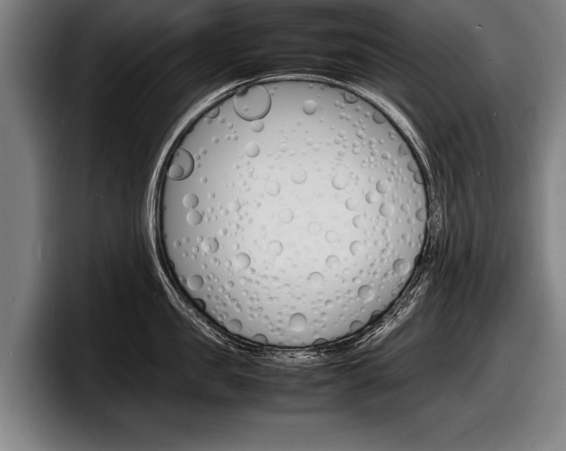X0000098160957200804171215