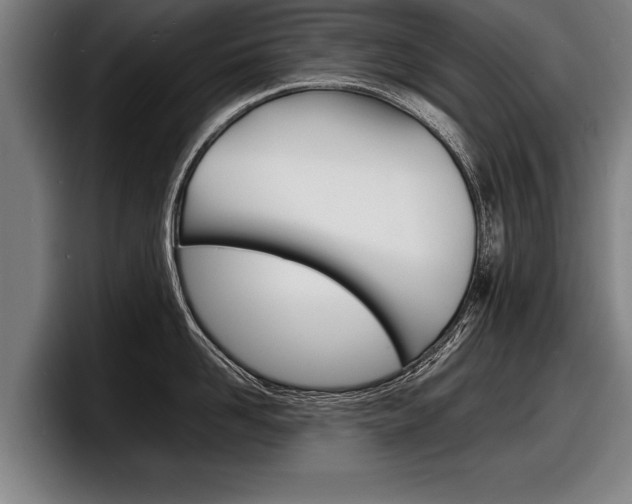 X0000098160958200804171215
