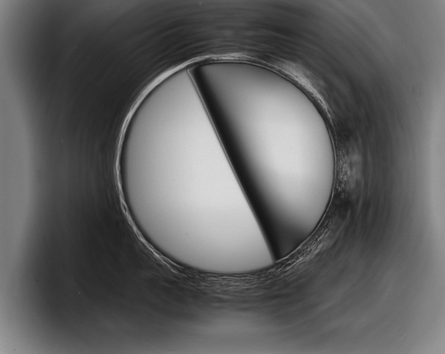 X0000098160959200804171215