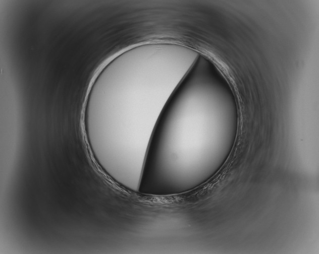 X0000098160960200804171215