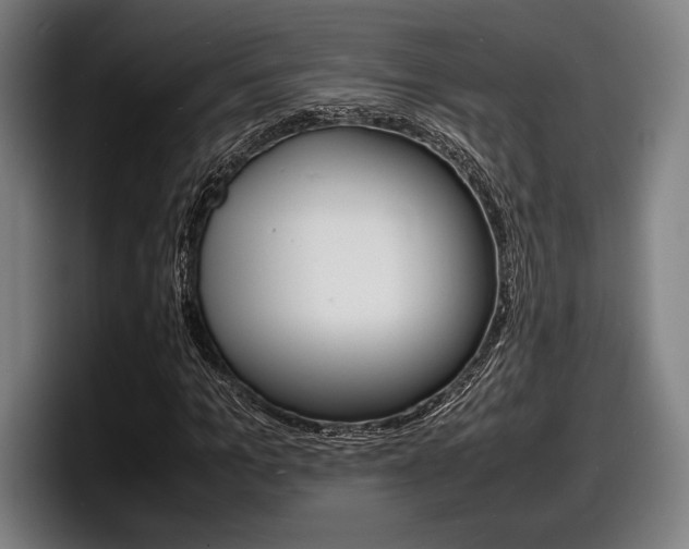 X0000098160965200804171214