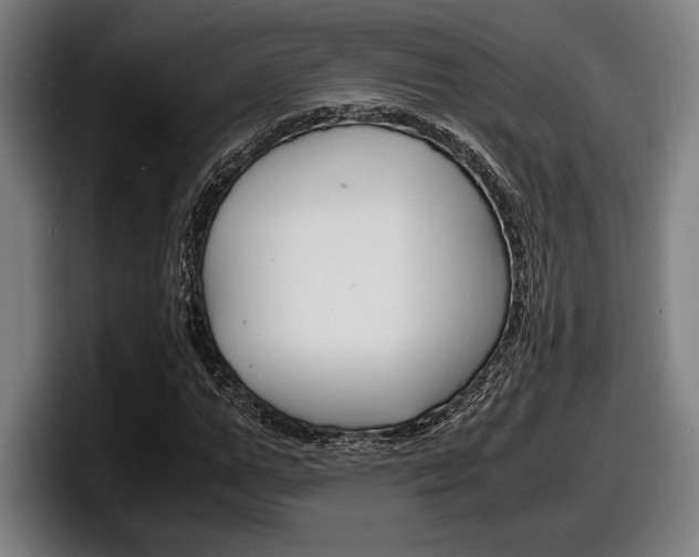 X0000098160967200804171214