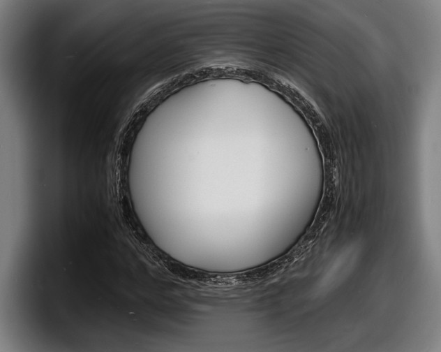 X0000098160968200804171214