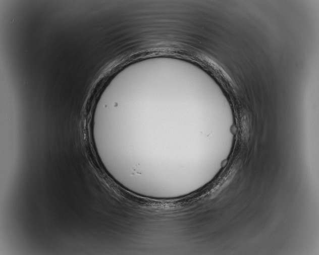 X0000098160970200804171214