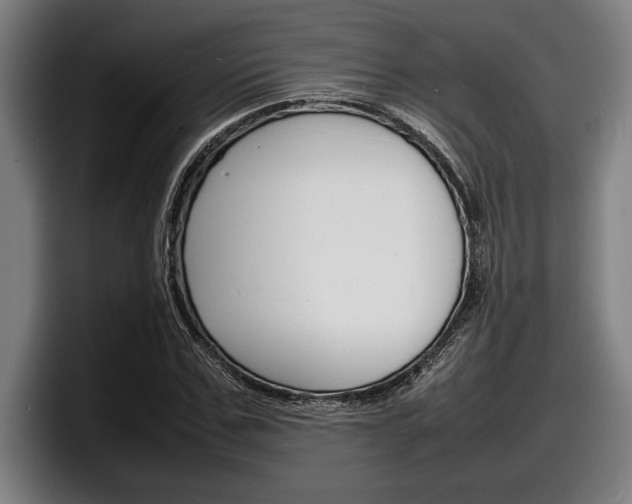 X0000098160971200804171214