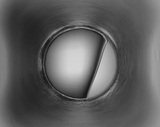 X0000098160973200804171214