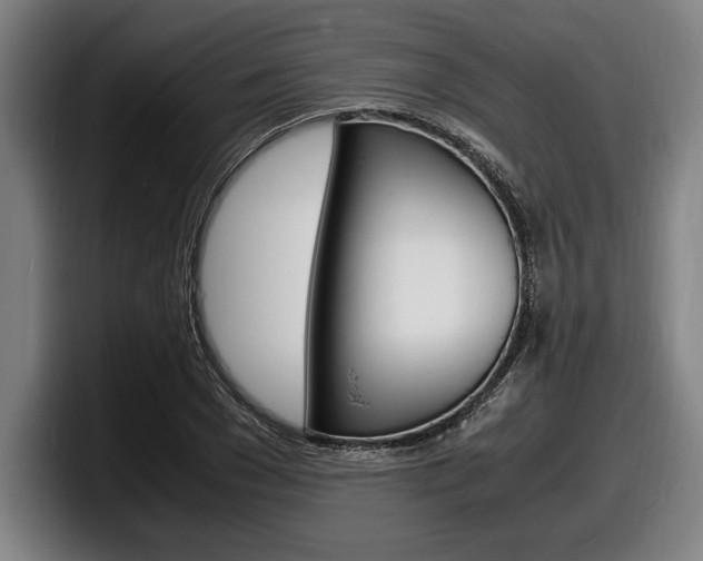 X0000098160977200804171214