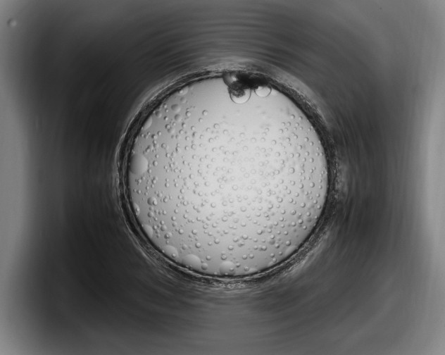 X0000098160978200804171214