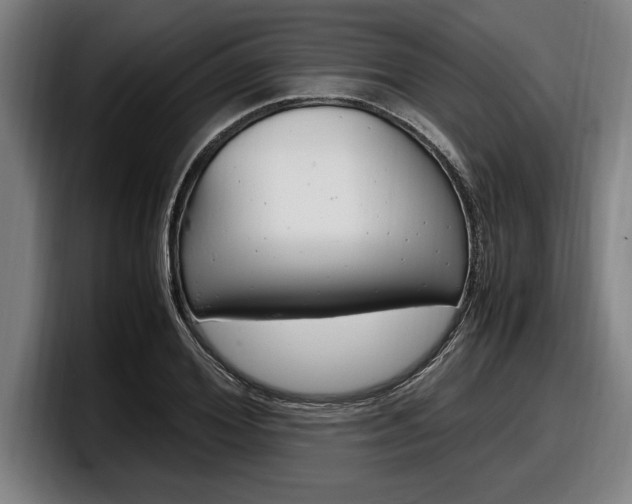 X0000098160980200804171214