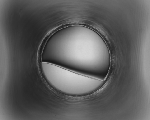X0000098160981200804171214