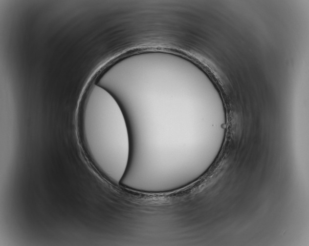 X0000098160982200804171214