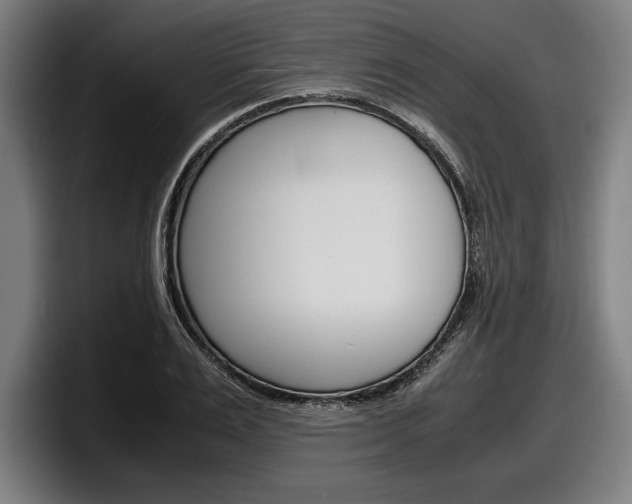 X0000098160983200804171214