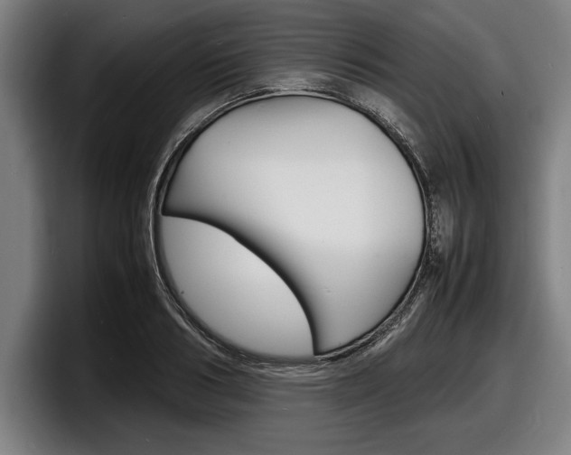 X0000098160986200804171214