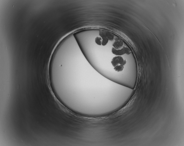 X0000098160988200804171214