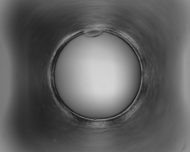 X0000098160989200804171214