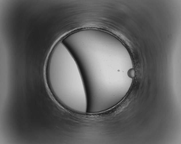 X0000098160991200804171214