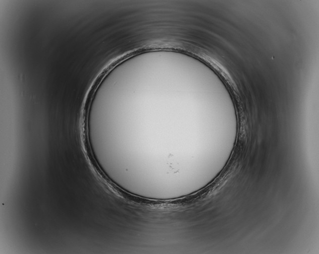 X0000098160992200804171214