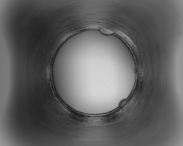 X0000098160993200804171214
