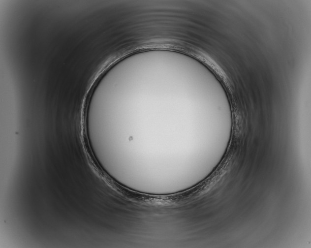 X0000098160994200804171214