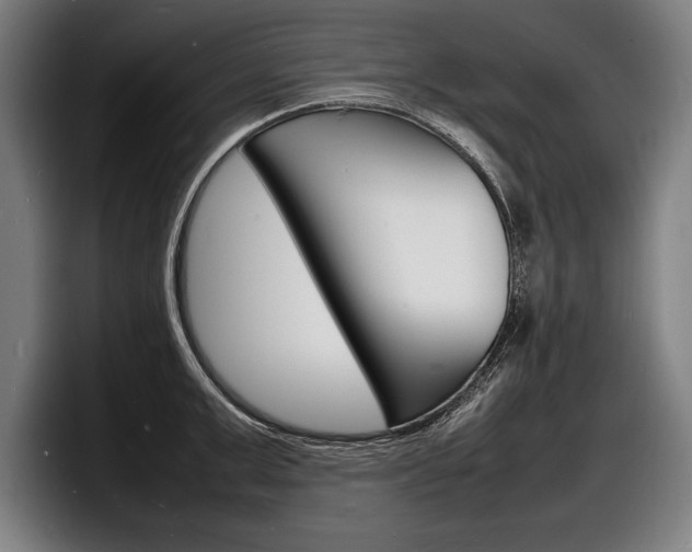 X0000098160999200804171214