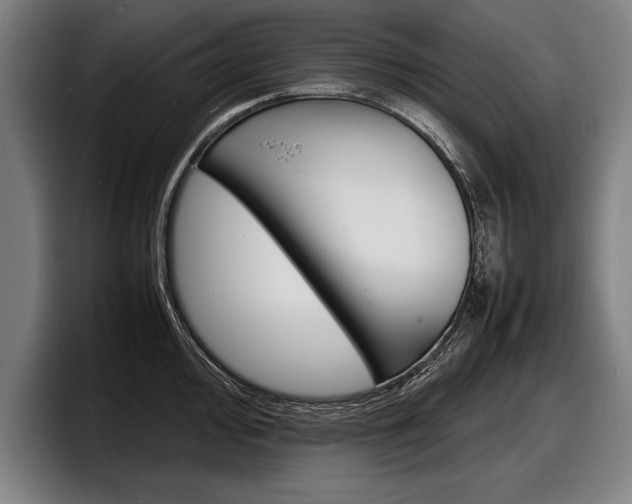 X0000098161000200804171214